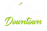 logo-DT-2